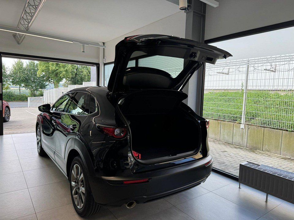 Mazda CX-30 Selection 186 PS *Design*Premium-Paket*