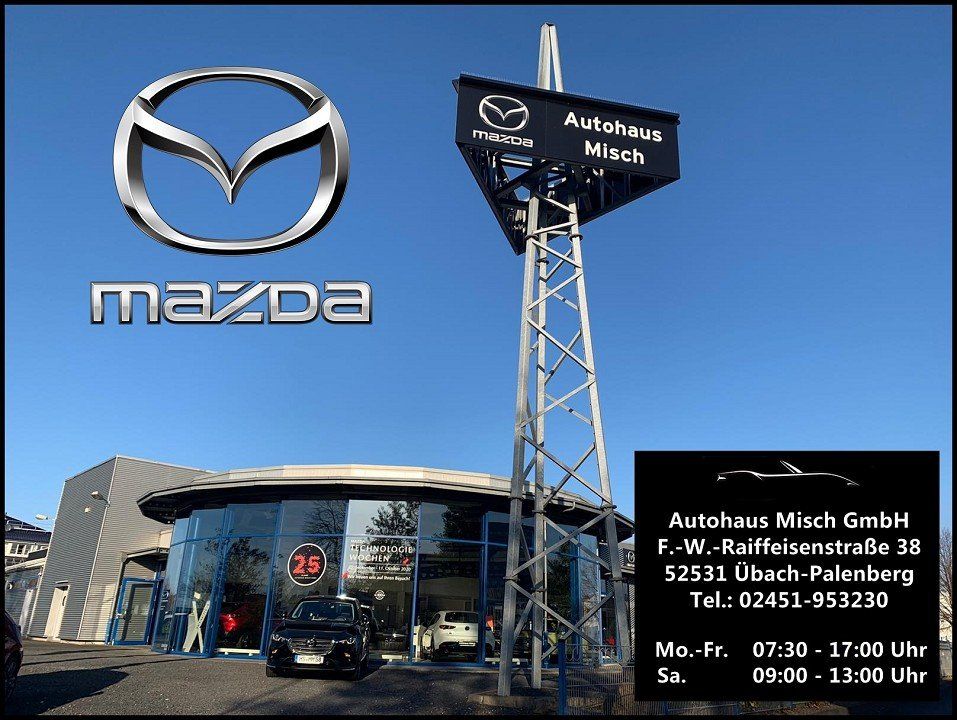Mazda CX-30 SKYACTIV-G 2.0 150PS M Hybrid HUD LED LEDE