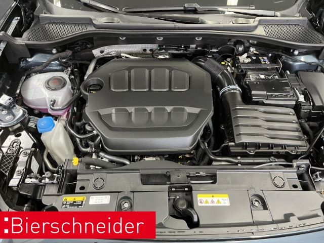 Cupra Formentor 2.0 TSI DSG 4Drive VZ AB 276 EUR AHK M