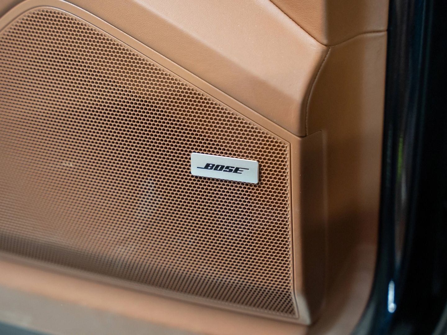 Porsche Cayenne E-Hybrid PDCC BOSE Surround View 18-Wege