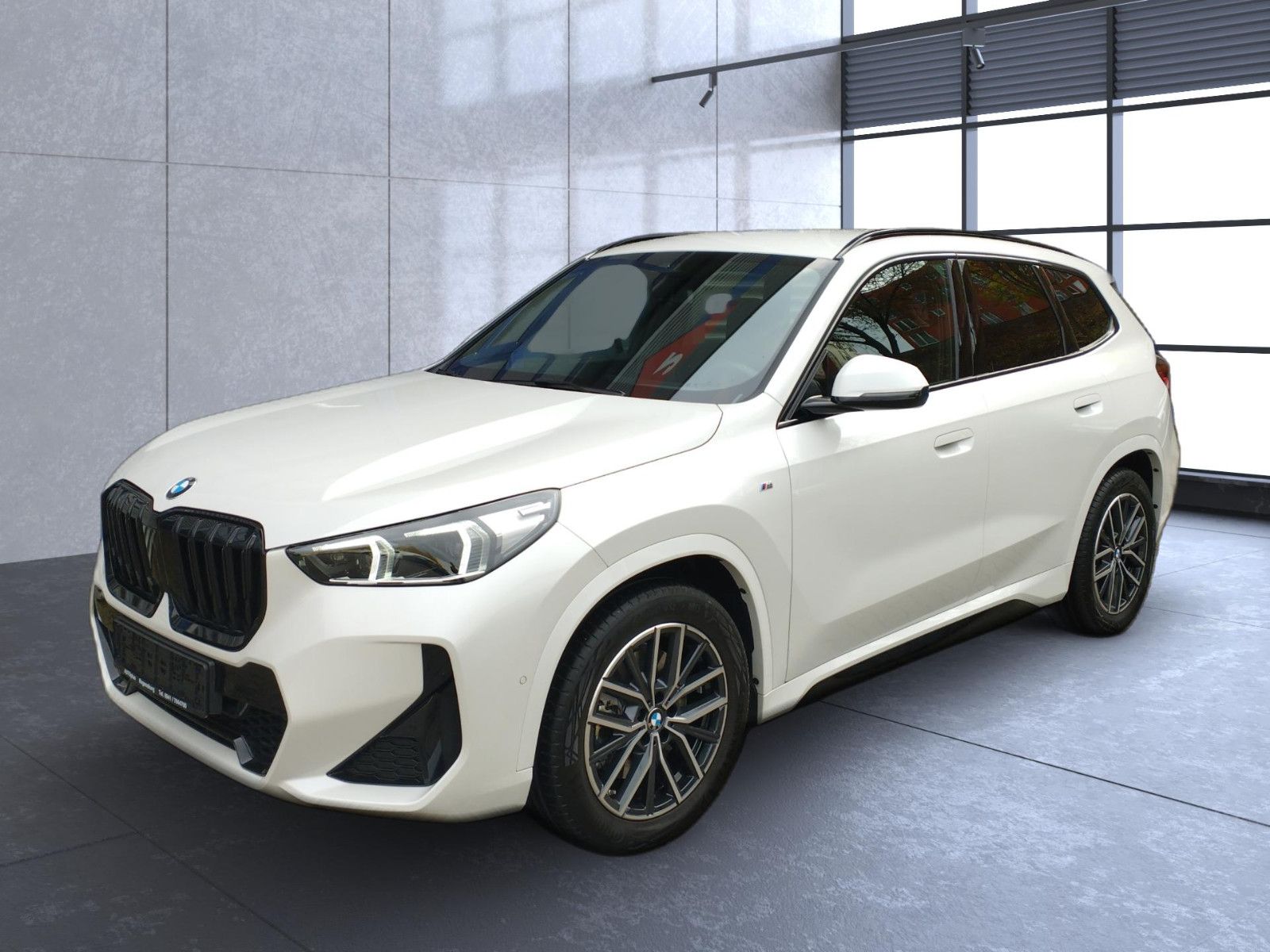 BMW X1 23 d xDrive M Sport*AHK*Komfortzugang