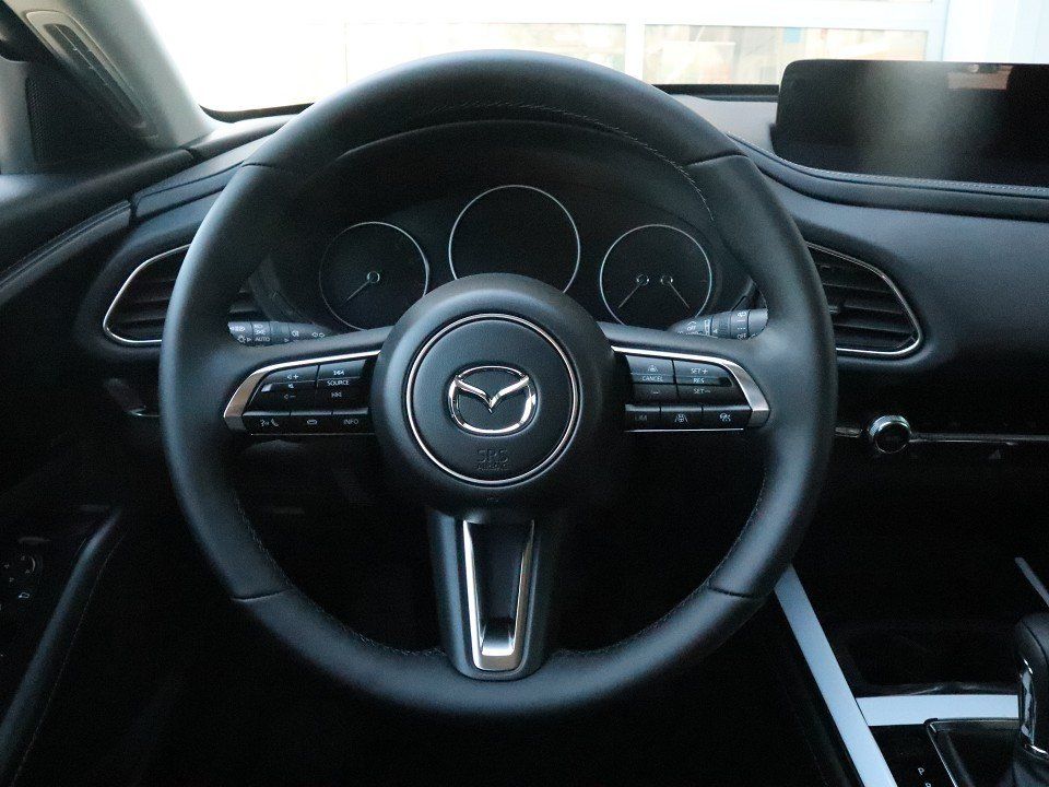 Mazda CX-30 M-Hybrid Takumi G-140 AT LEDER-S Allwetter