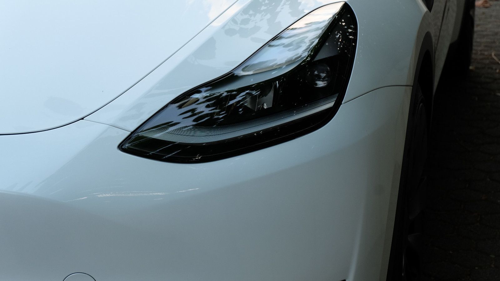 Tesla Model Y Performance Dual Motor AWD, LM 21"
