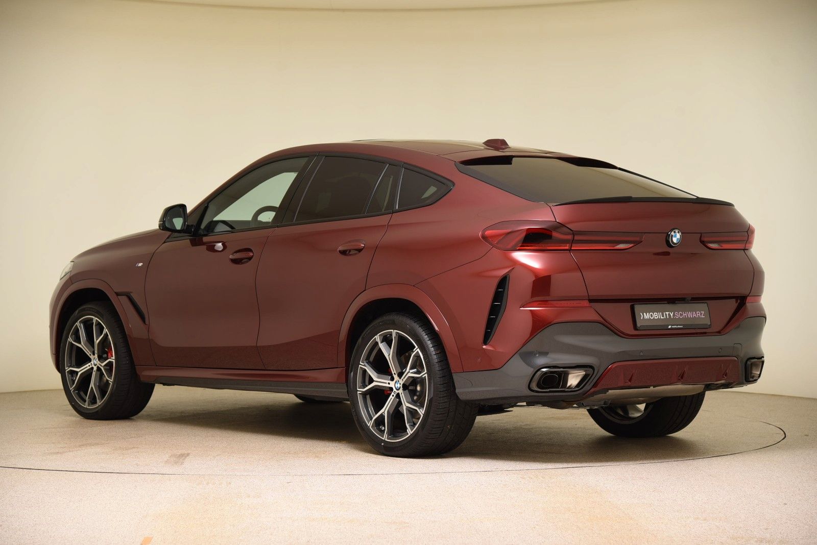 BMW X6 xDrive30d M Sport Pro StandHzg Pano H&K 360°