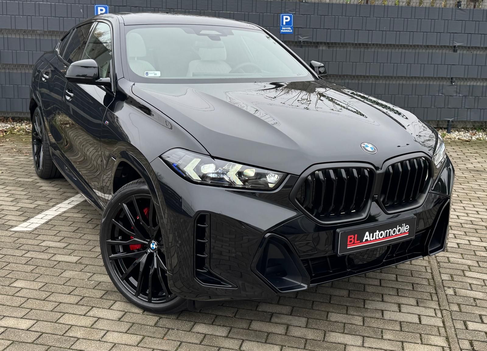 BMW X6 30d M SPORT PRO.LUFTFEDER.SOFTCL.H/K.AHK.22"