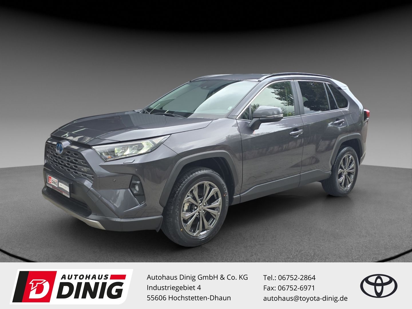 Toyota RAV 4 Hybrid 4x2 Team Deutschland Technik P. Nav