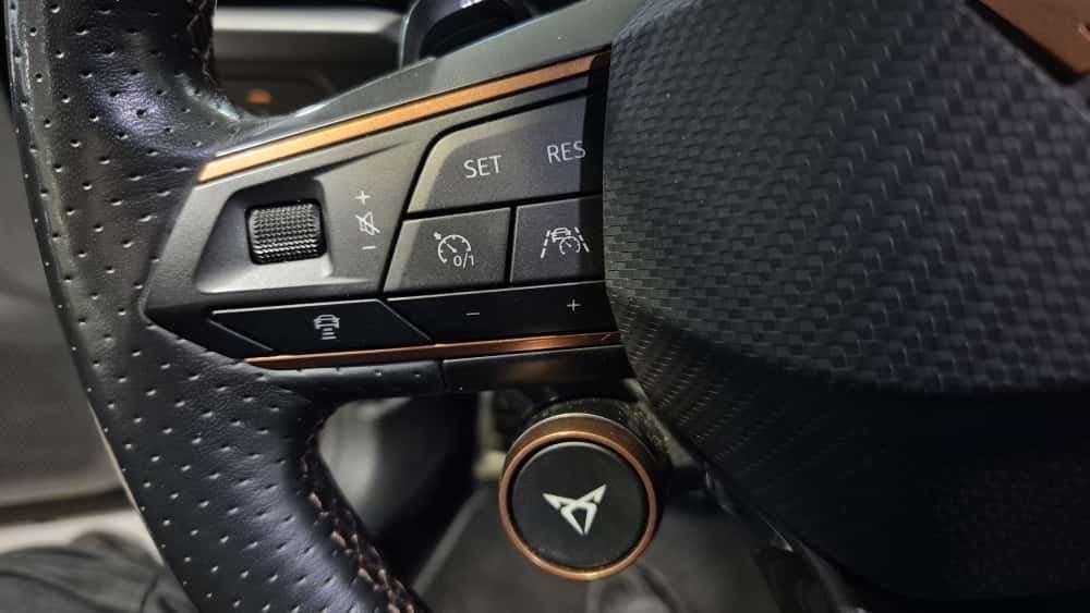 Cupra Formentor VZ 2.0TSI 4D DSG*AHK*el.Heck*Leder*