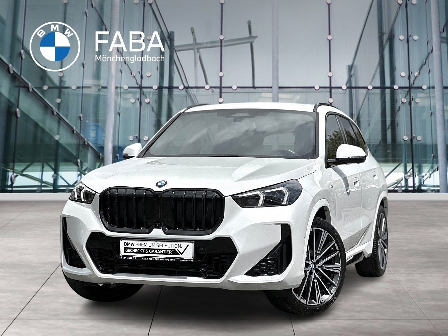 BMW X1 xDrive20d M Sport Pro Head-Up DAB LED AHK