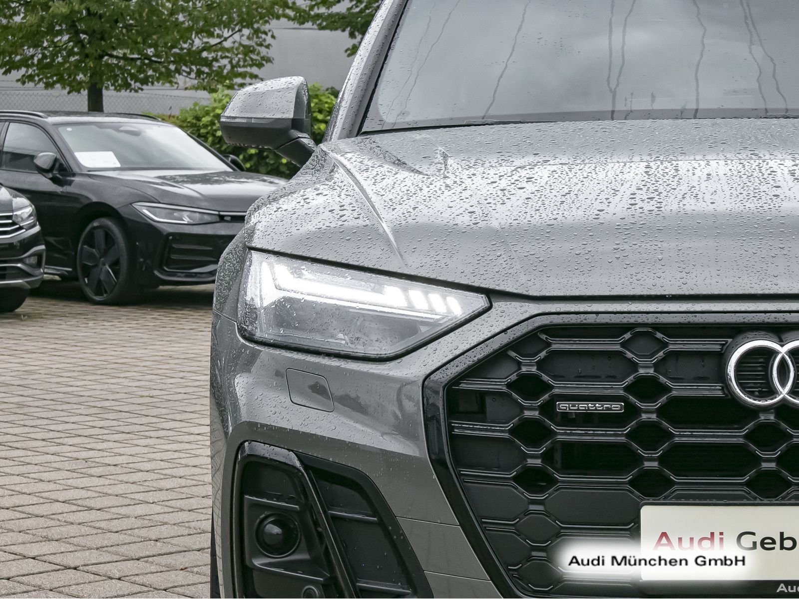 Audi Q5 40 TDI qu. S tronic S line Pano/LuftFed/StdHz