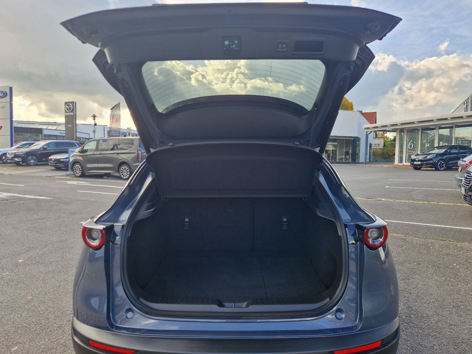 Mazda CX-30 Selection AWD*Design & Premium Paket*