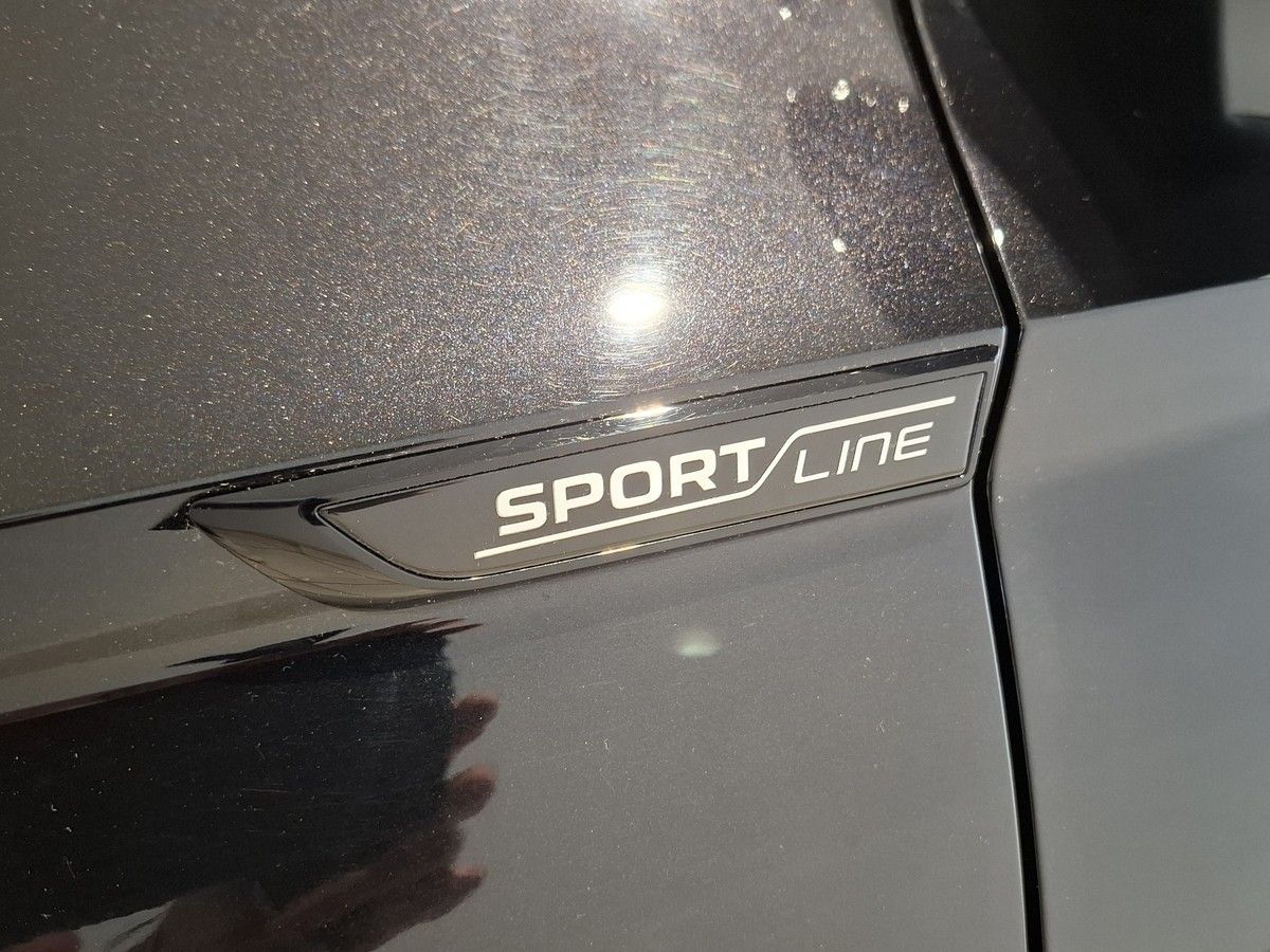 Skoda Karoq 2.0 TSI DSG Sportline 4x4 Standheizung