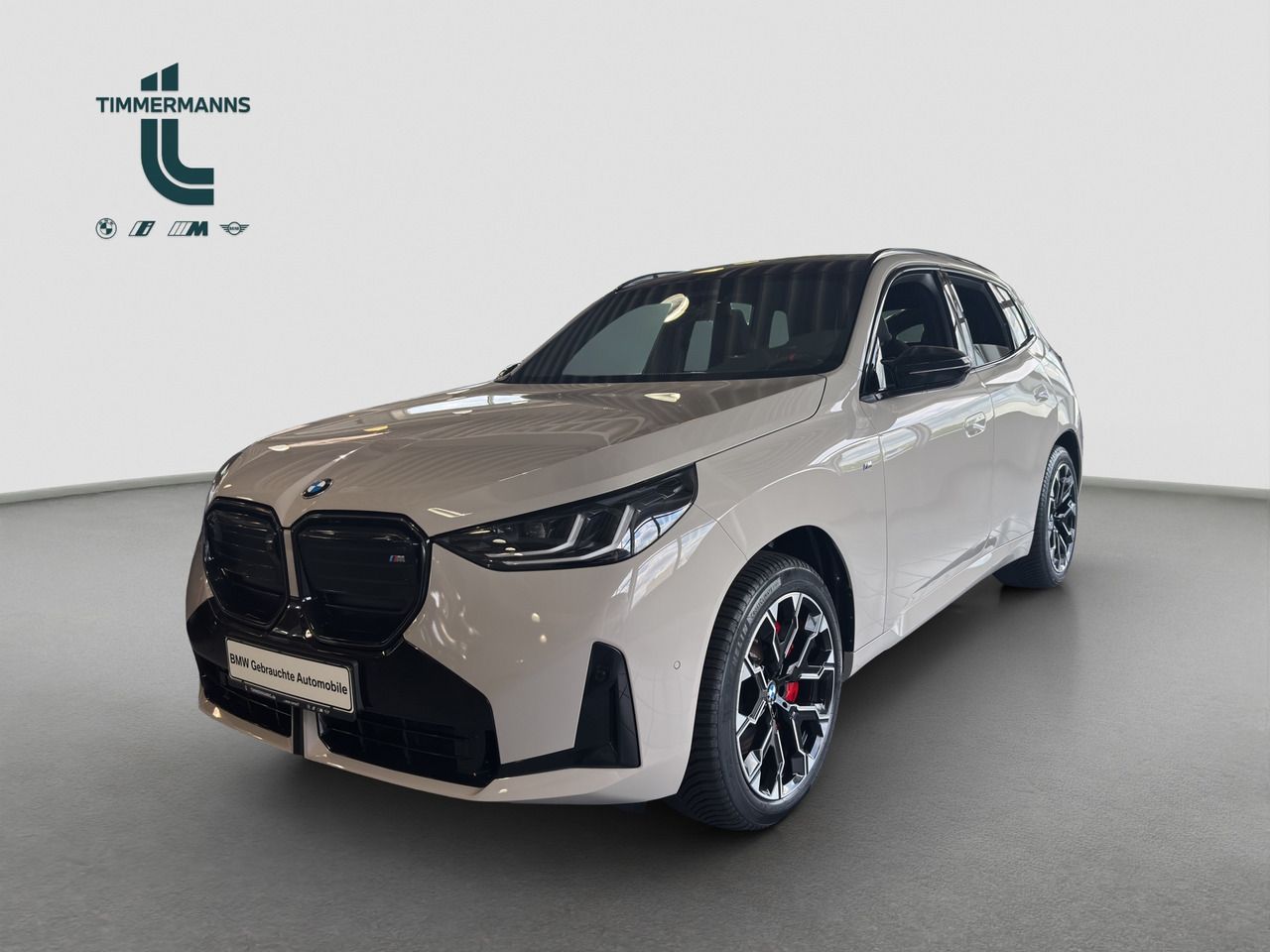 BMW X3 M50  AHK Pano