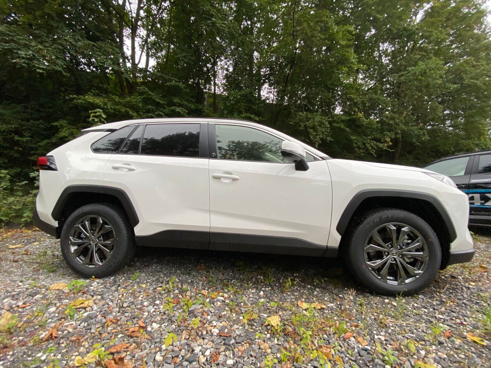 Toyota RAV4 Hybrid Team - Samsaru's Car Outlet