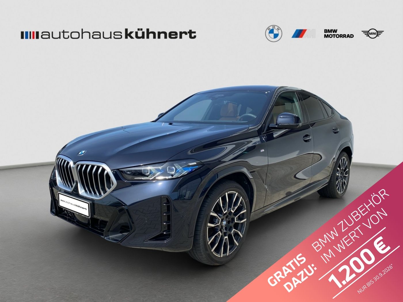 BMW X6 xDrive 40d ///M-Sport ACC PanoSD LuftFw Aktiv