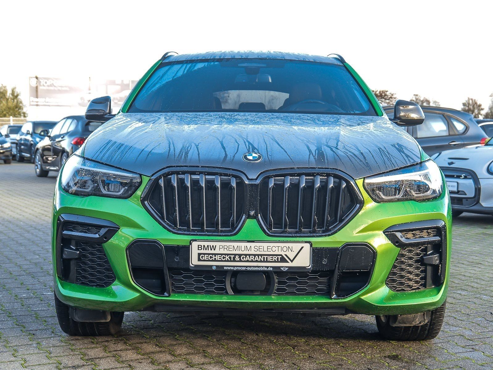 BMW X6 xDrive40d M Sport+Individual JAVA GRÜN+PANO+M