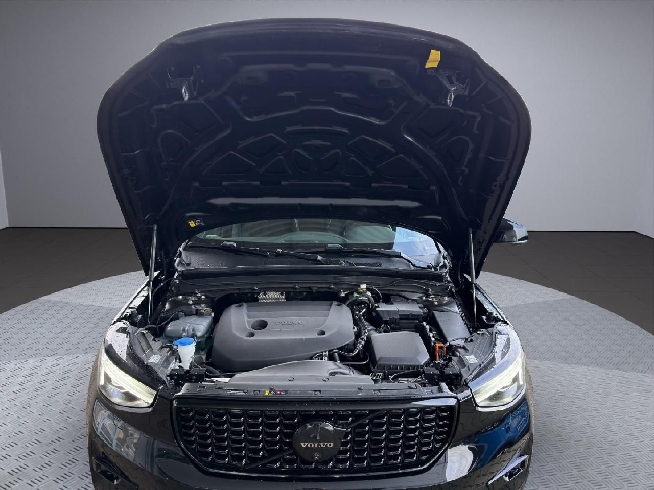 Volvo XC40 Ultra Black Edition AHK* Frontscheibenheiz.