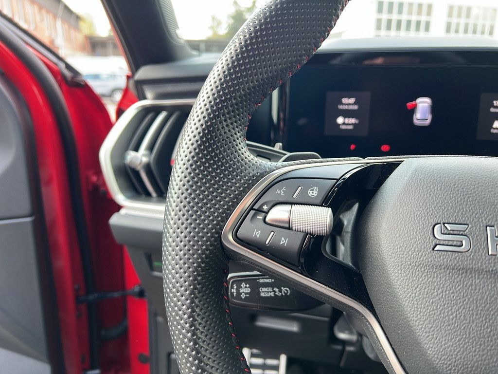 Skoda Kodiaq 2.0 TSI RS 4x4 MATRIX-LED AHK 360° PANO