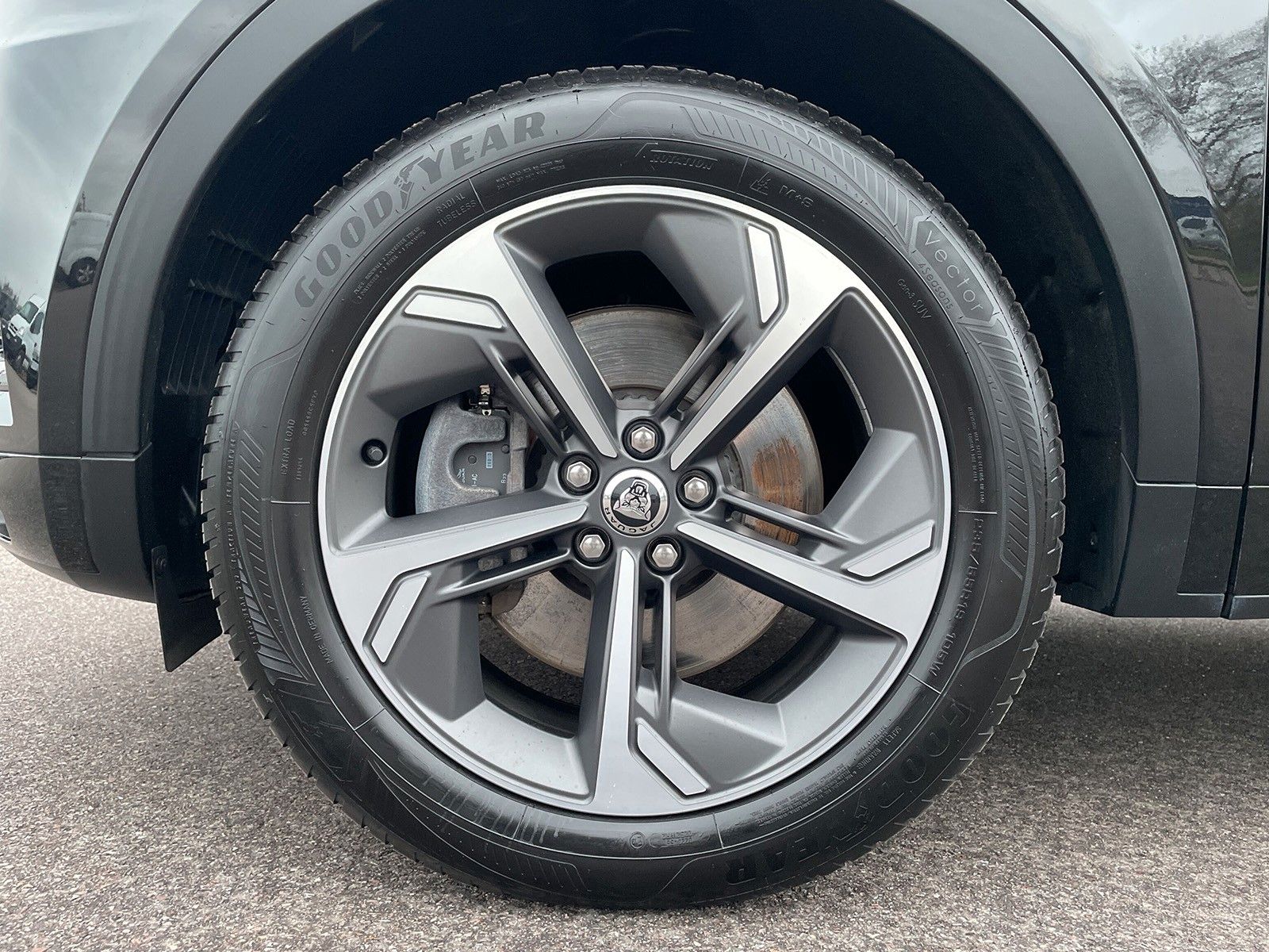 Jaguar E-Pace P250 AWD R-DYNAMIC SE  ACC LED