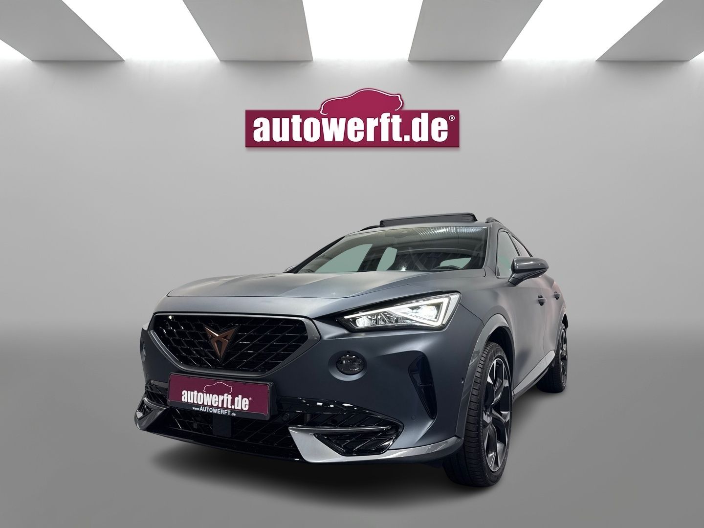 Cupra Formentor 2.0 TSI VZ MATT PANO AHK CAM BEATS 5J.