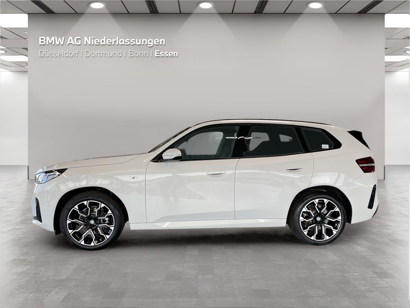 BMW X3 20 xDrive M Sport AHK Driv.Assist+ Harman/K