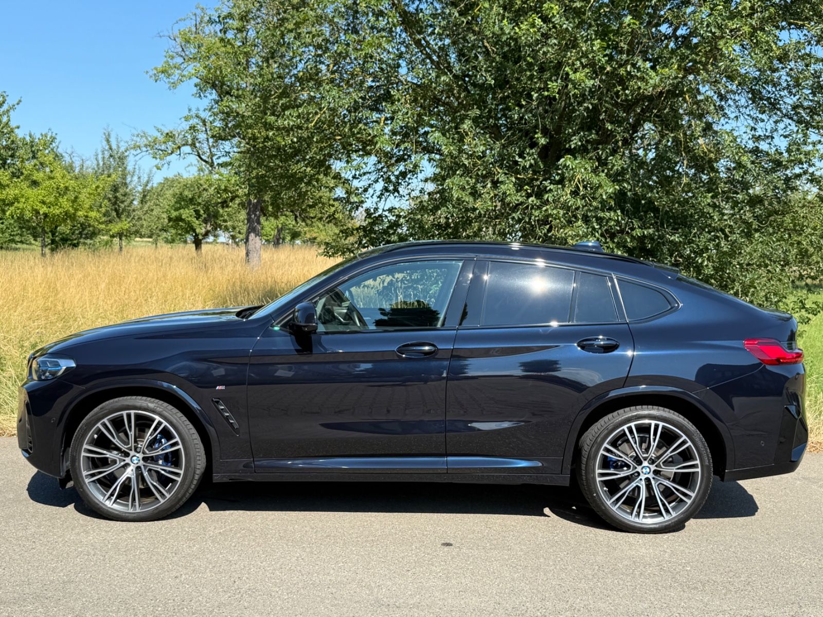 BMW X4 xDrive 30 d M Sport Laser HeadUp Pano AHK 21"