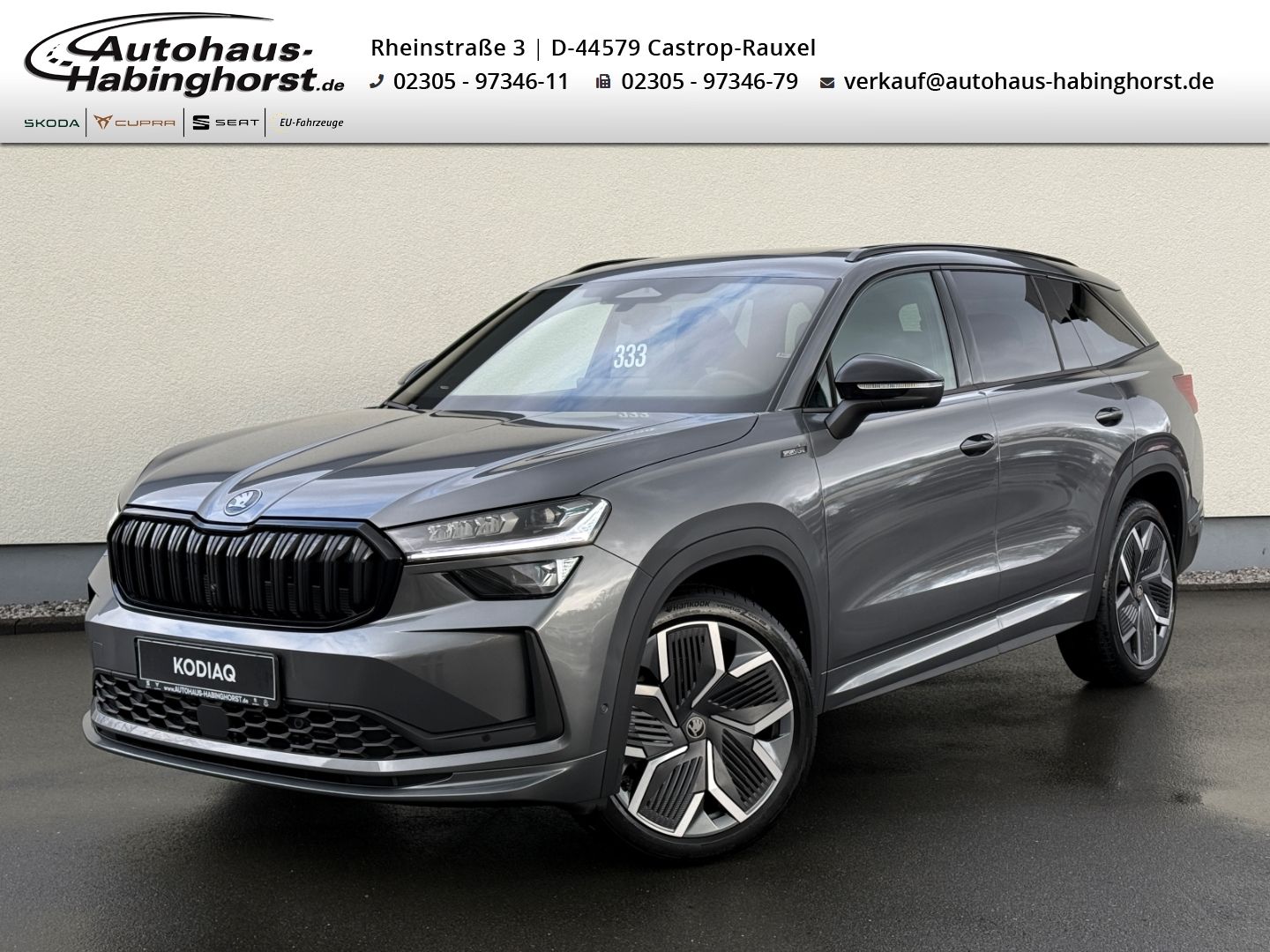 Skoda Kodiaq II 2.0 TSI 4x4 Sportline 7S DCC 360 HeadU