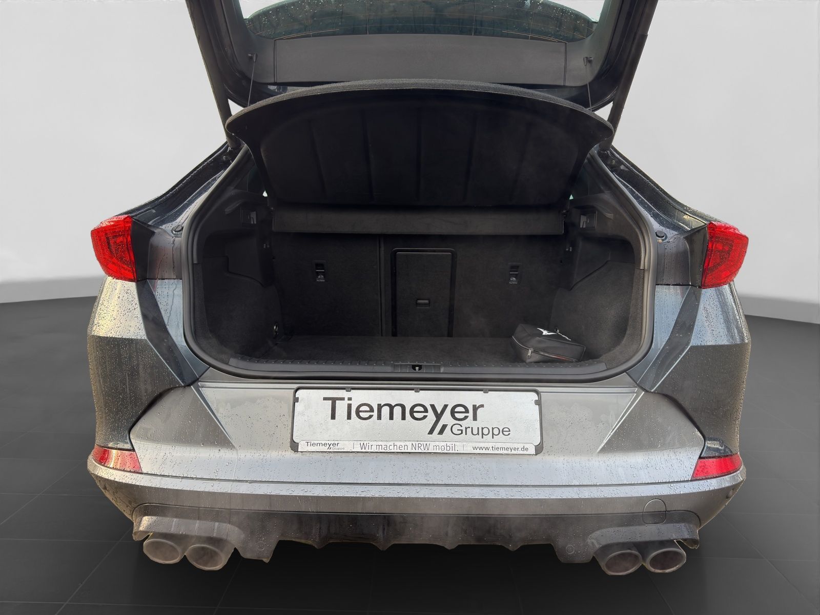 Cupra Formentor VZ 2.0 TSI BREMBO PANO AHK BEATS eKLAP