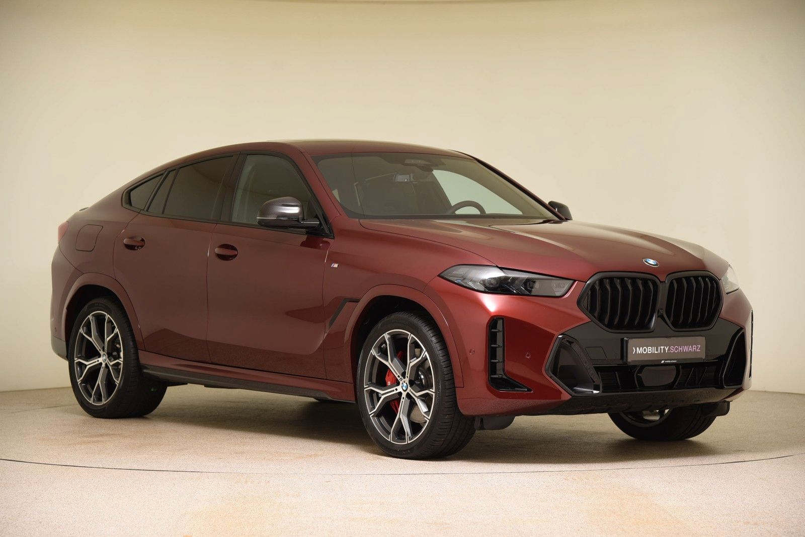 BMW X6 xDrive30d M Sport Pro StandHzg Pano H&K 360°