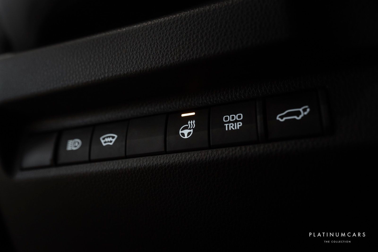 Toyota RAV4 Plug-in-Hybrid X Edition / NETTO POSSI