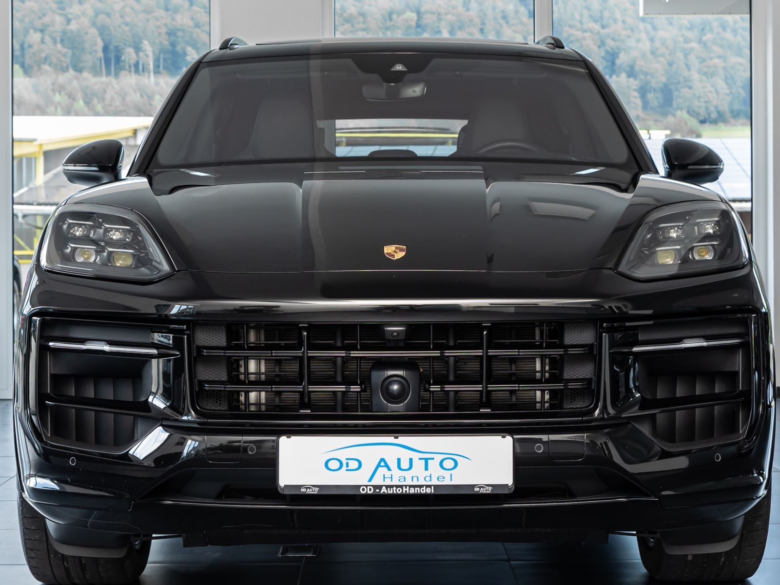 Porsche Cayenne S E-Hybrid SportDesign/DVD im Fond/AHK