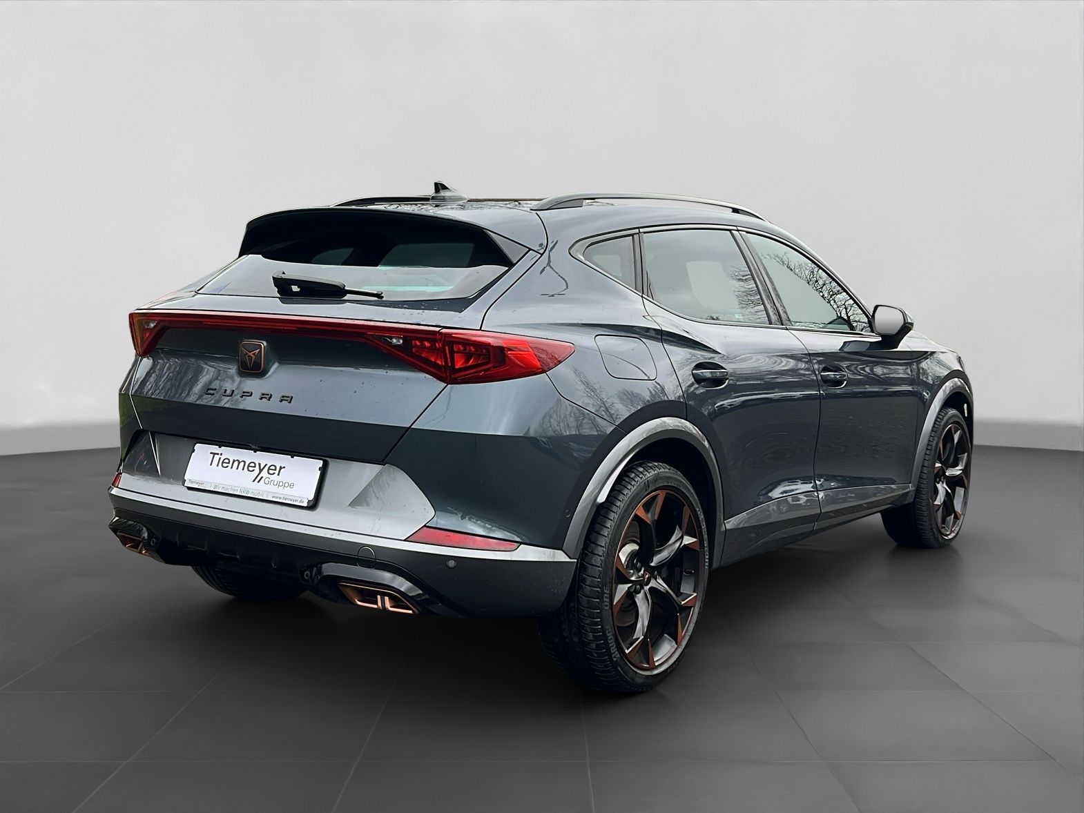 Cupra Formentor 1.4 eHybrid VZ KAMERA LM19 AHK