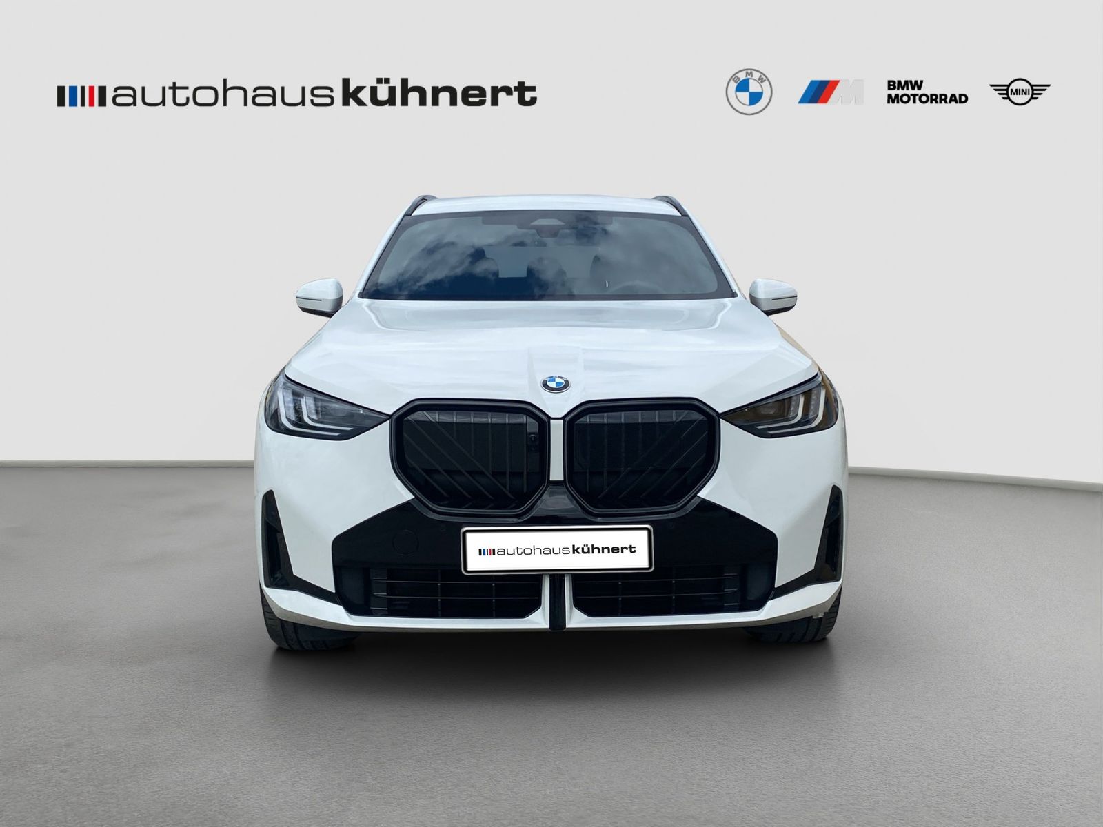 BMW X3 30e xDrive ///M-Sport PRO ACC AHK SpurAss 360