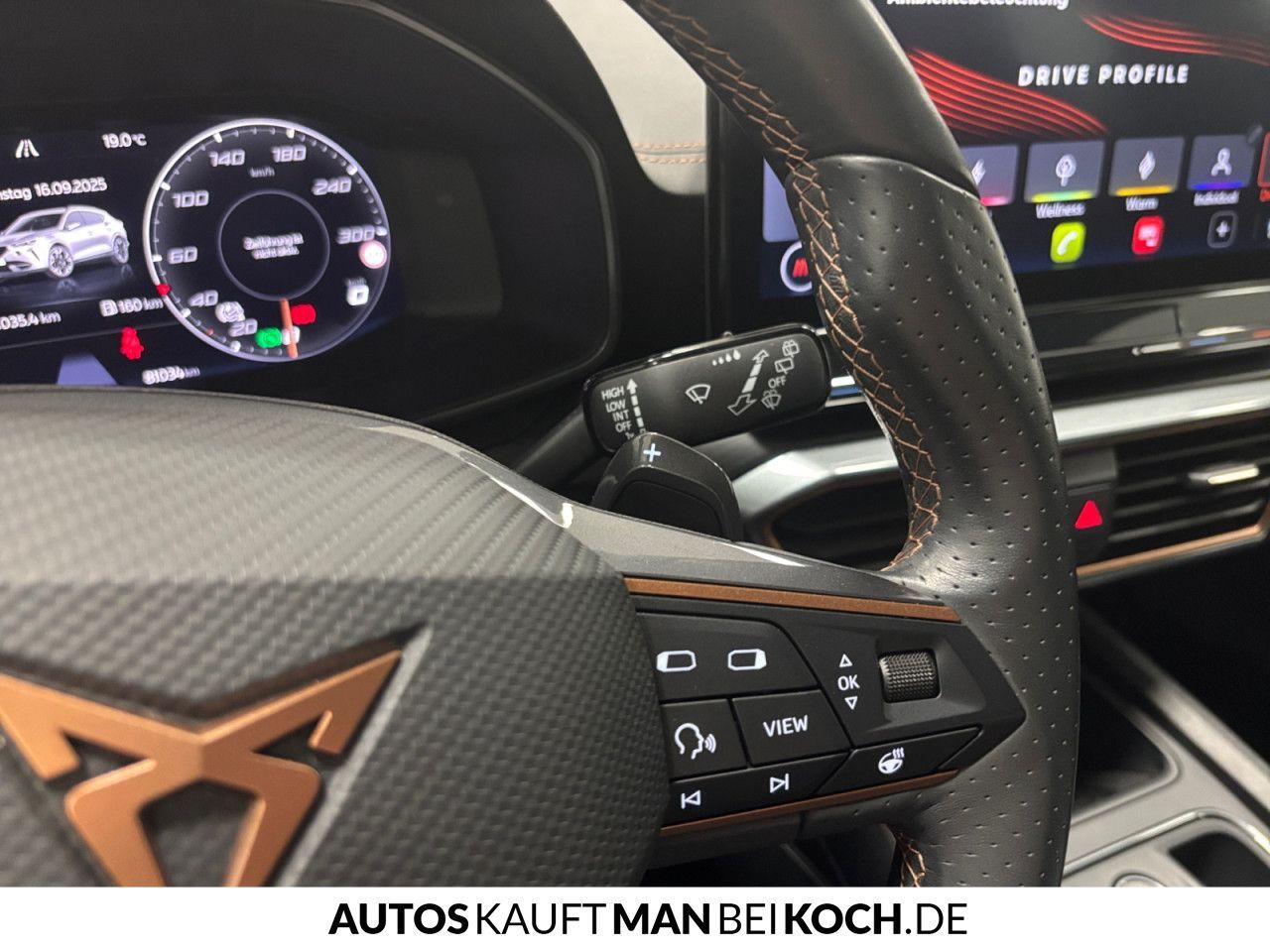 Cupra Formentor 2.0 TSI DSG VZ AHK BEATS LED