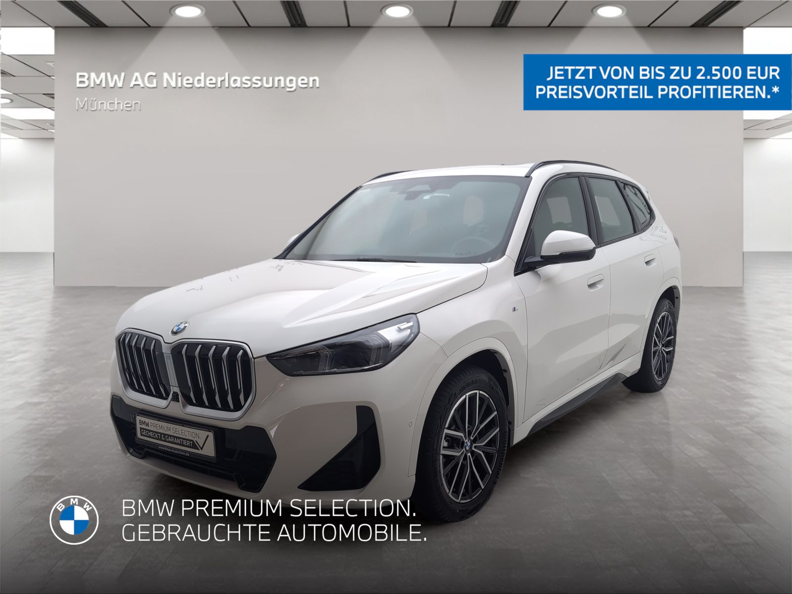 BMW X1 xDrive23d M Sport AHK Driv.Assist+ Head-Up