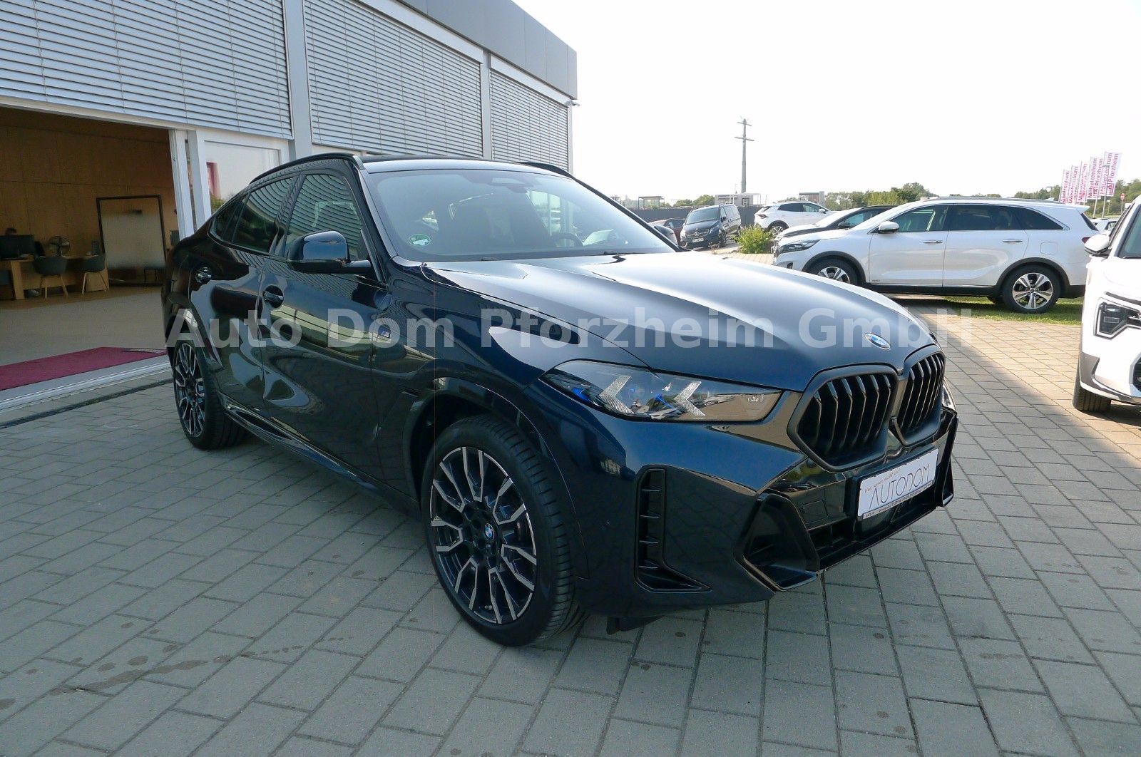 BMW X6 30 d xDrive M Sport/HK/PANO/Innovation/AHK