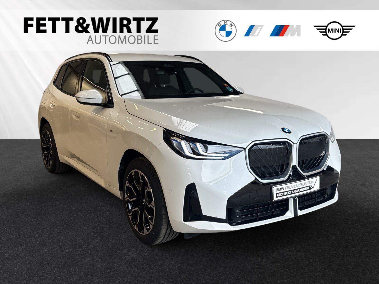 BMW X3 20 xDrive Lr. 471,- br. o.Anz. 42Mon/10`Km p.