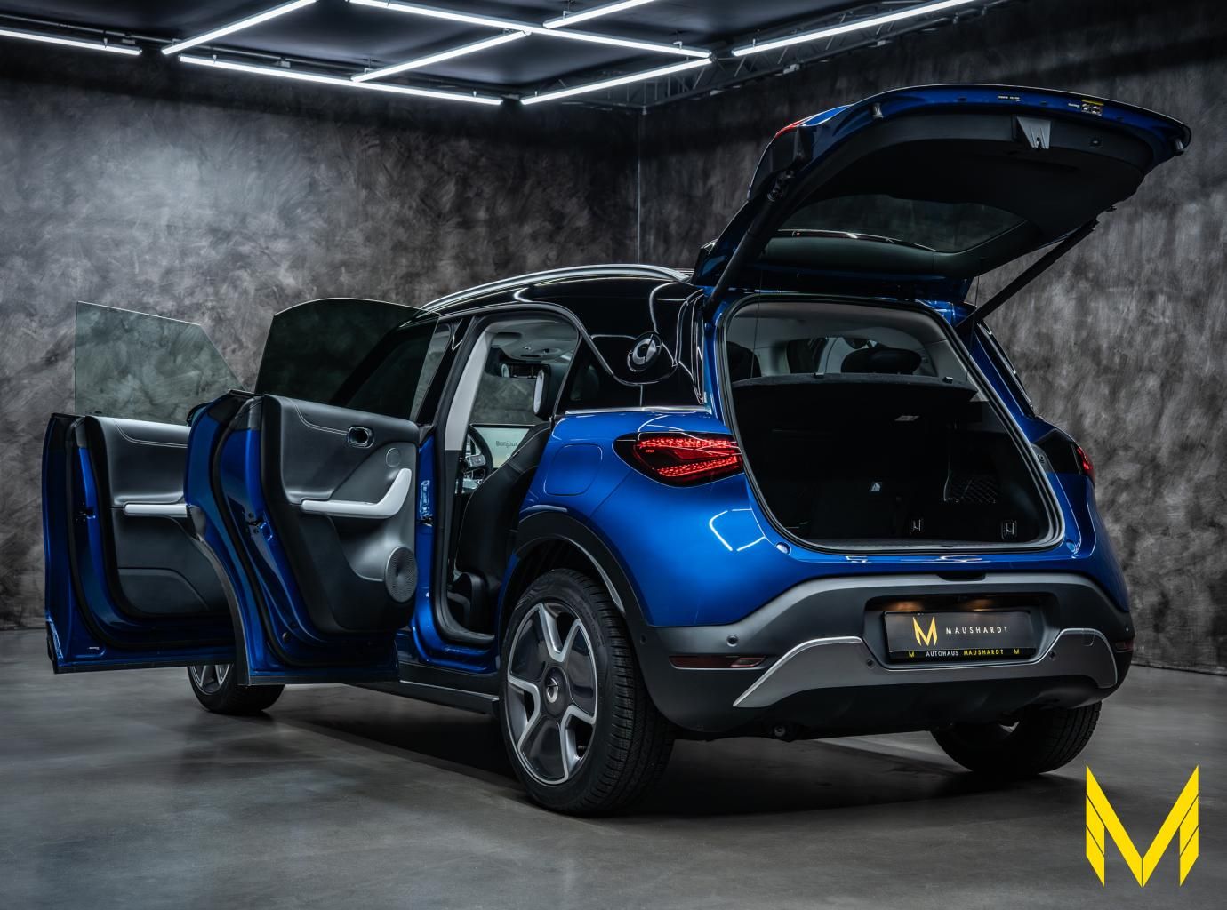 Smart #1 PULSE #AUFDIEDAUERHILFTNURPOWER #CERTIFIED