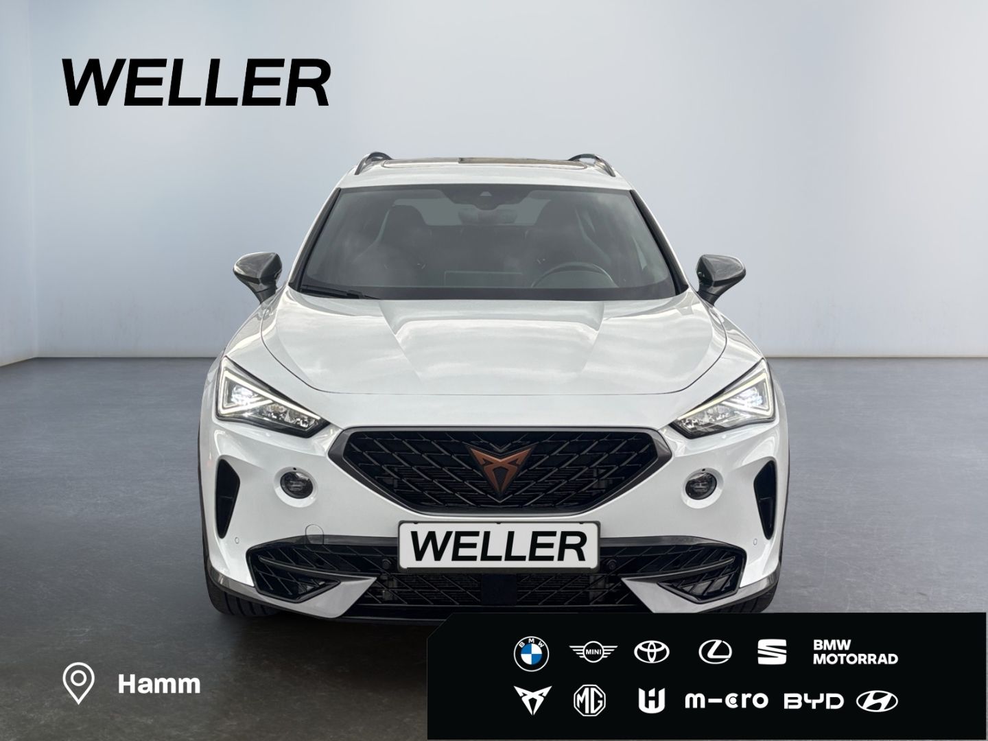 Cupra Formentor VZ 2.0 TSI 4Dr DSG *AHK*BREMBO*Leder*