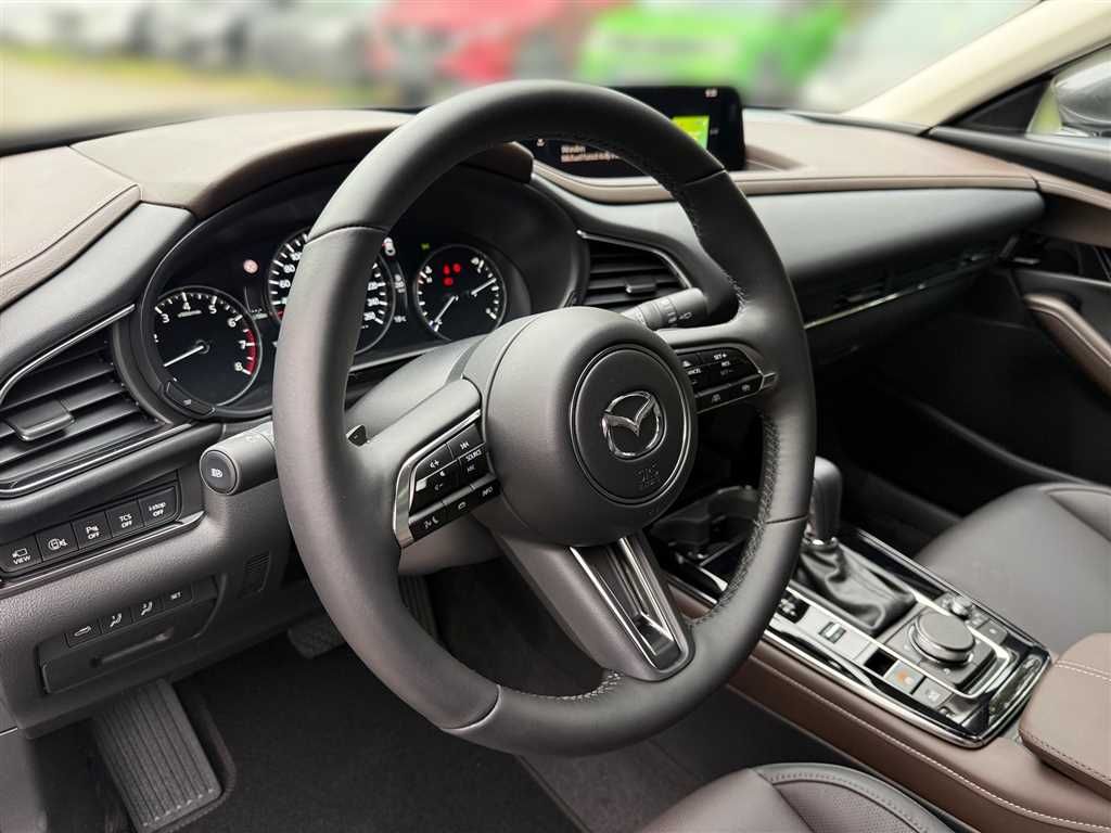Mazda CX-30 2.5 Takumi *Navi*BOSE*360°Kamera*LED-Schei