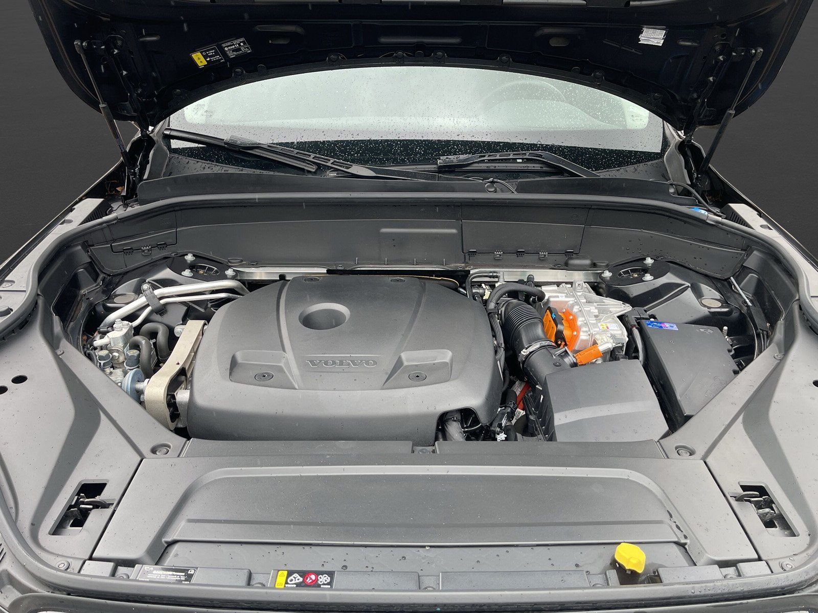Volvo XC90 Recharge T8 AWD Plus+AHK+Licht Paket
