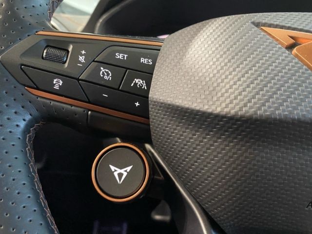 Cupra Formentor VZ 4Drive 2.0 TSI Anhängerkupplung+Car