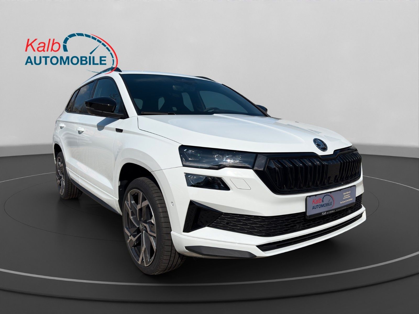 Skoda 5 JAHRE/100TKM GARANTIE+AHK+PANO+360°+TOTWINKEL