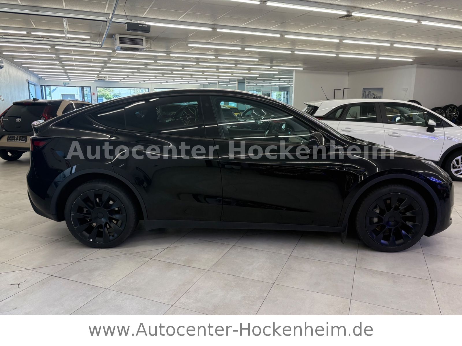Tesla Model Y Long Range Dual Motor  AWD