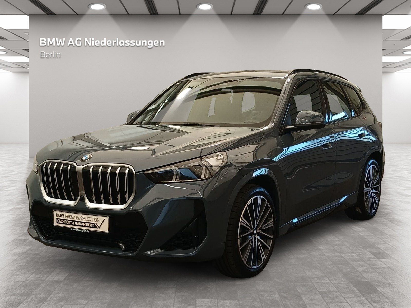 BMW X1 xDrive23i M Sport LiCoProf h/k AHK DAProf PA+