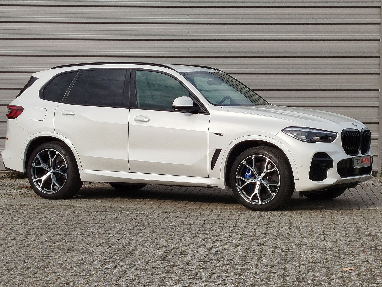 BMW X5 XDrive 45e M Sport AHZ DAB KAM Winterräder