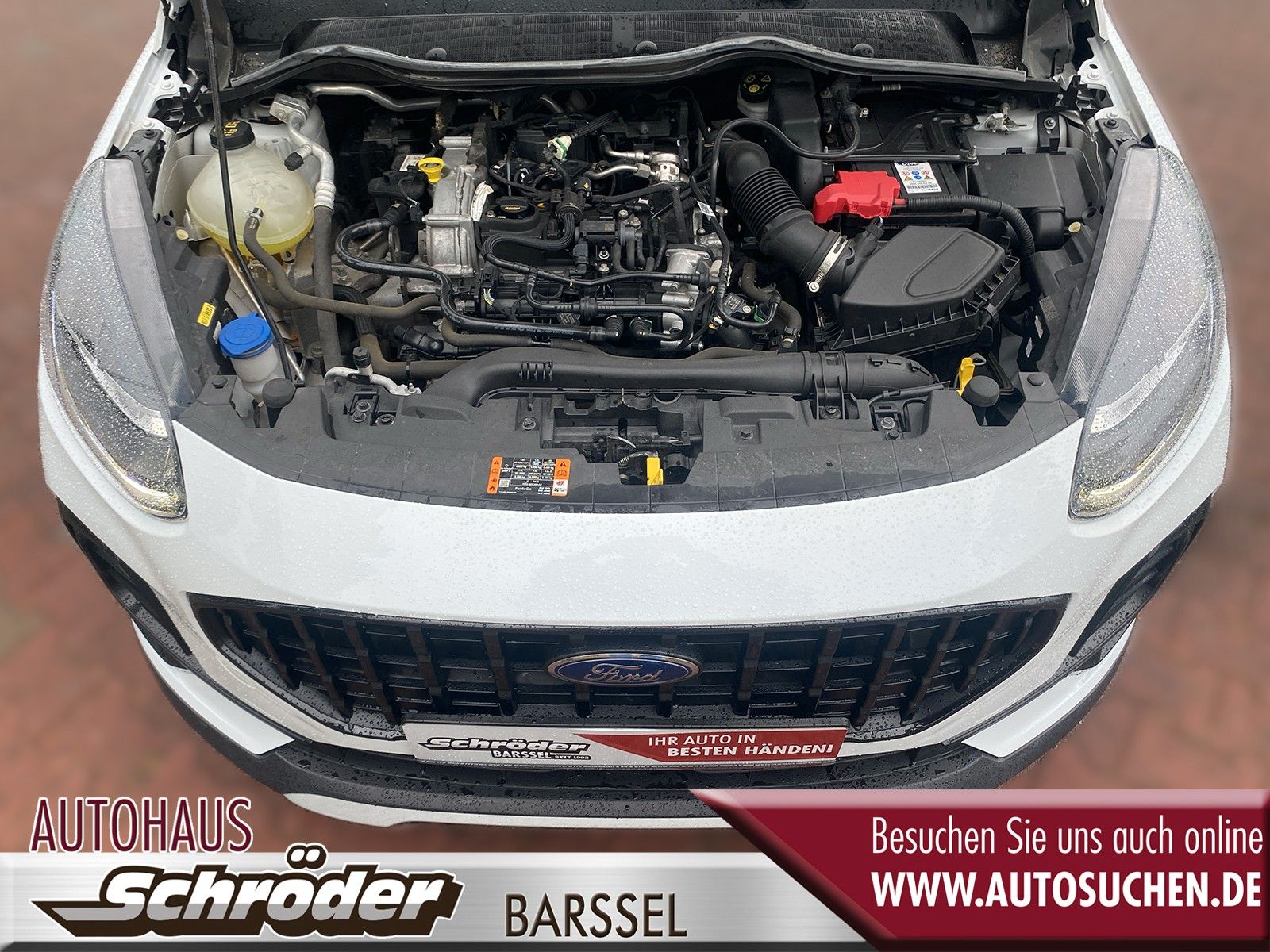 Ford Fiesta Active - Samsaru's Car Outlet