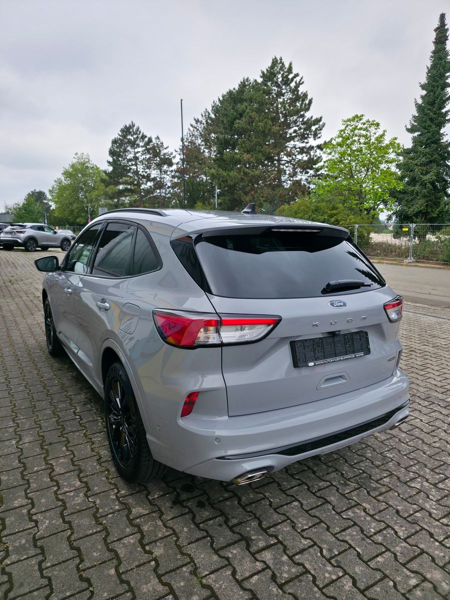 Ford Kuga Hybrid AWD - Samsaru's Car Outlet
