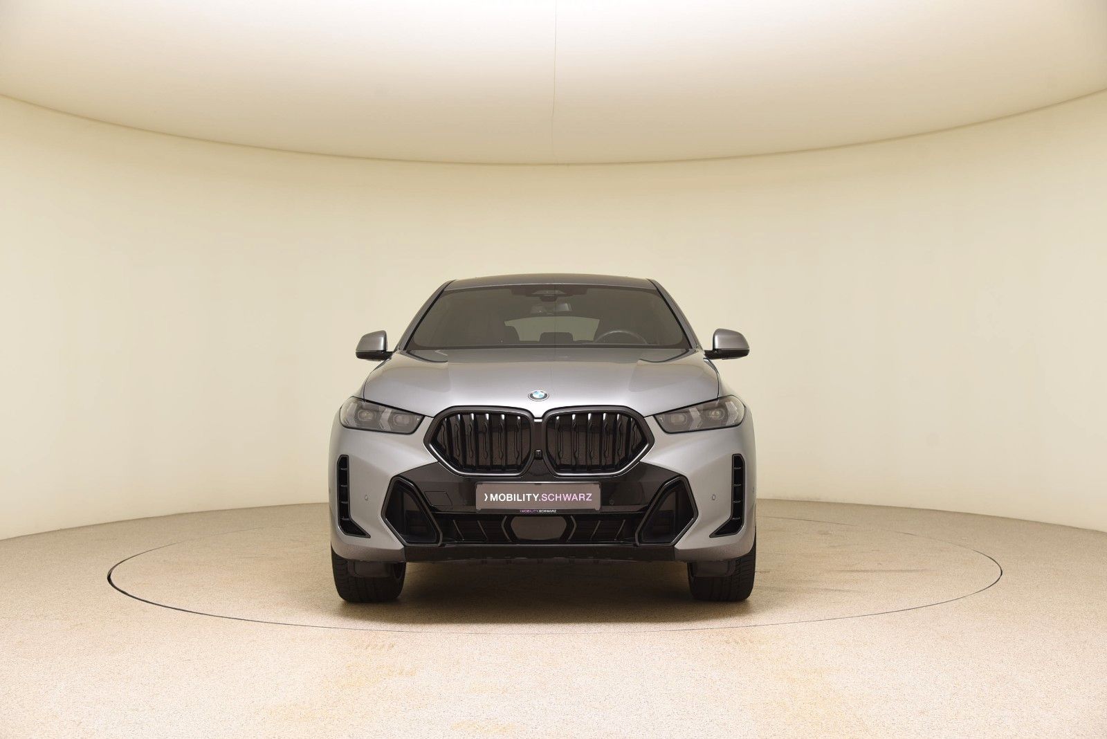 BMW X6 xDrive30d M Sport Pro HUD AHK LED Pano H&K