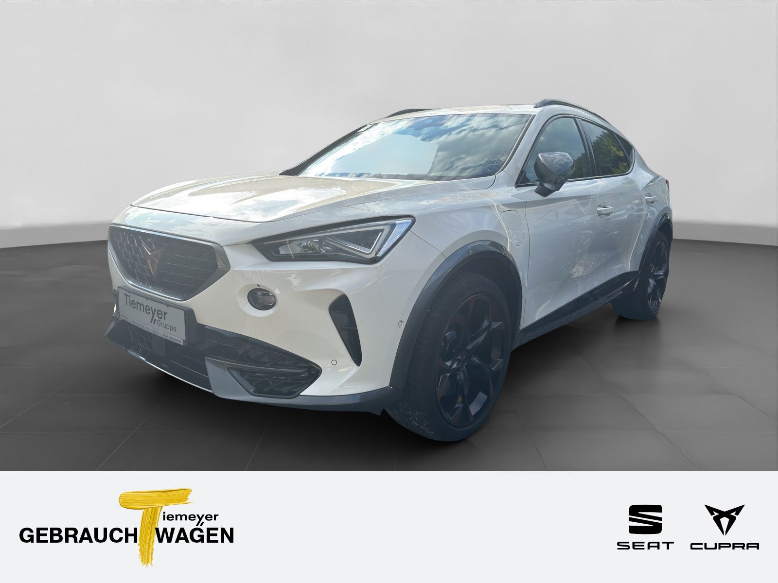 Cupra Formentor VZ eHybrid LM19 PANO AHK 360° SUPERSPO