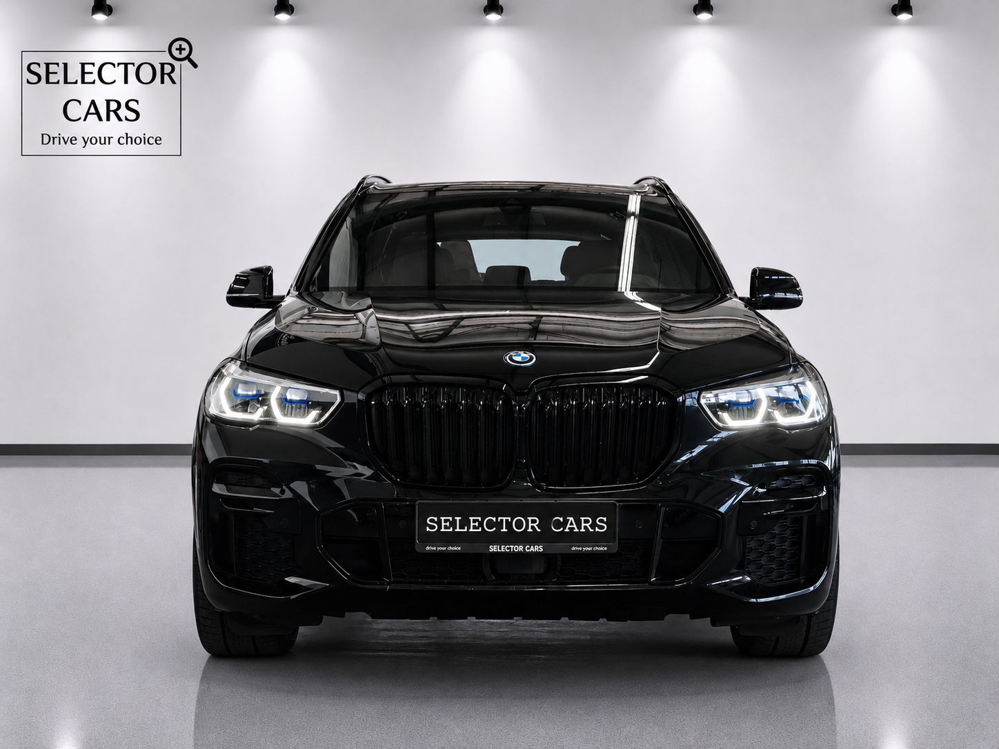 BMW X5 xDrive45e M Sport Sitzbelüftung/ACC/AHK/H&K